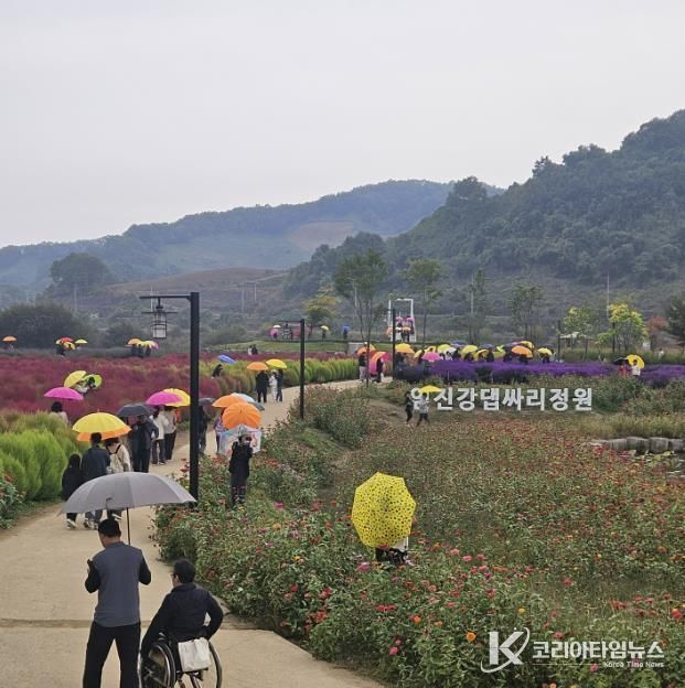 연천군 중면 임진강 댑싸리정원 지역 관광명소로 우뚝!