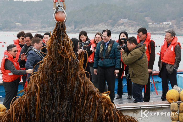 사진은 미 에너지부 산하기관 에너지 고등 계획원(ARPA-E) 관계자 완도군 해조류(미역) 양식장을 방문한 모습