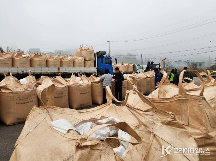 세종시, 2025년산 공공비축미곡 건조벼 1,630t 매입
