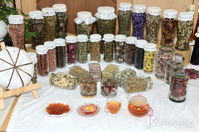 산촌활력 특화사업 숲푸드 포럼