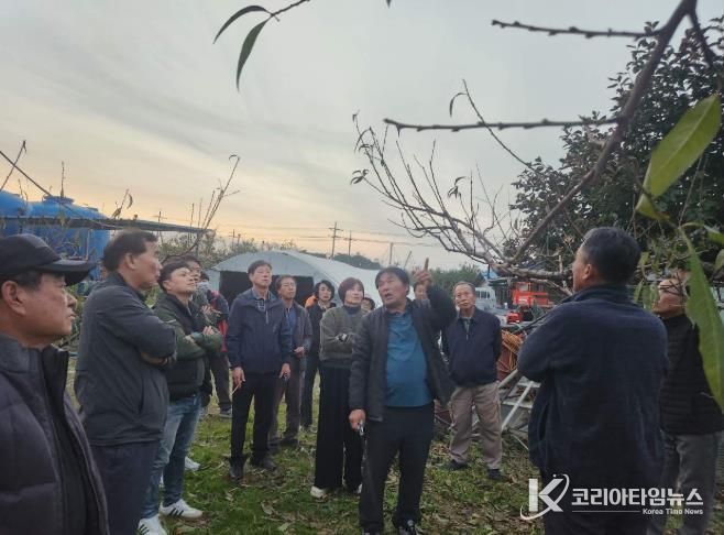 정읍시, “명품 복숭아 비결은 겨울 전정”… 농가 대상 전문 교육