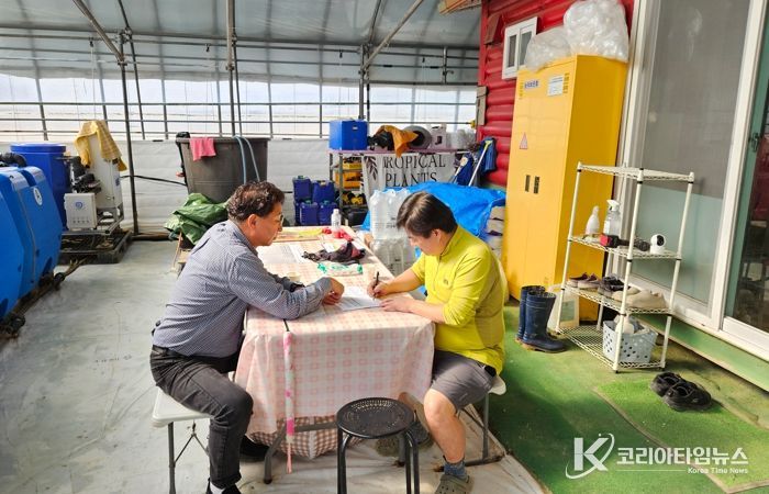 딸기 농가 컨설팅