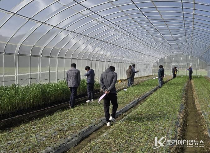 남해마늘연구소 '마늘 우량종구 생산' 박차