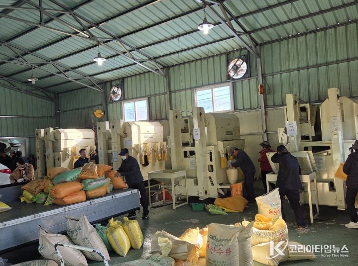 구례군, 콩 선별장 무상 운영