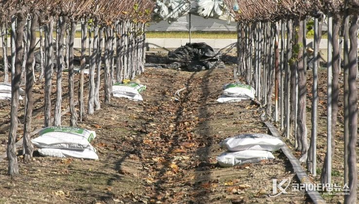 남원시, 2026년 유기질비료 지원사업 신청접수 실시