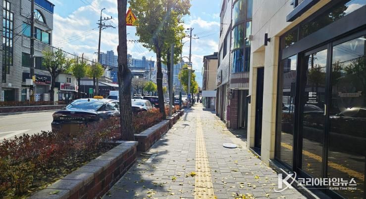 도로정온화 사업(두루침교~낙원사거리)