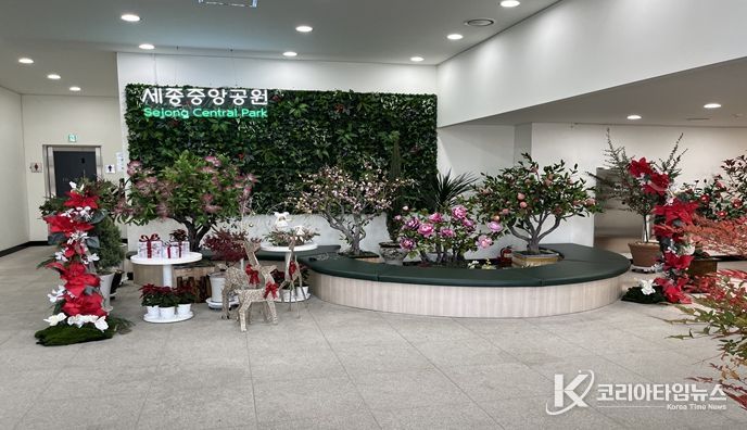 세종중앙공원 내 세종리 카페건물 1층 로비에 조성된 ‘빛트리 포토존’