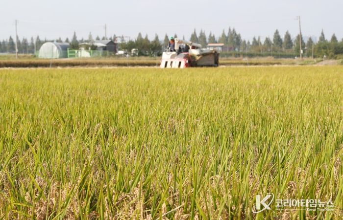 청주시, 청원생명쌀 계약재배 신청 접수… 12월 5일까지