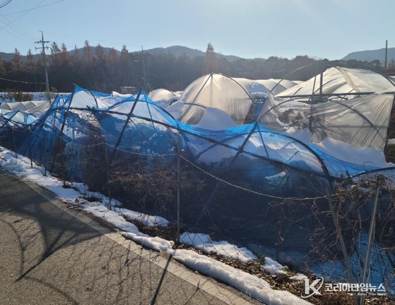 안성시, 올겨울 대설 대비, 차광·방조망 정리로 피해 예방하세요