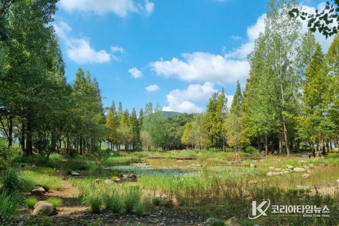 광양시 옥룡 솔밭섬, ‘2025년 모범도시숲’