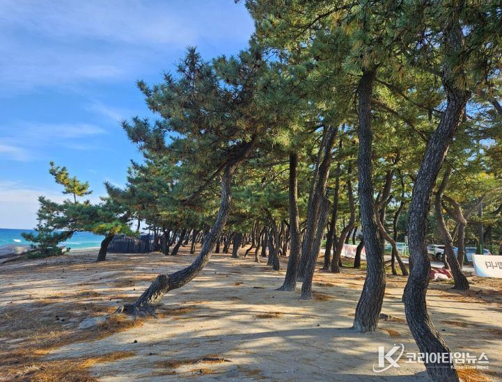 무장애 나눔길 조성