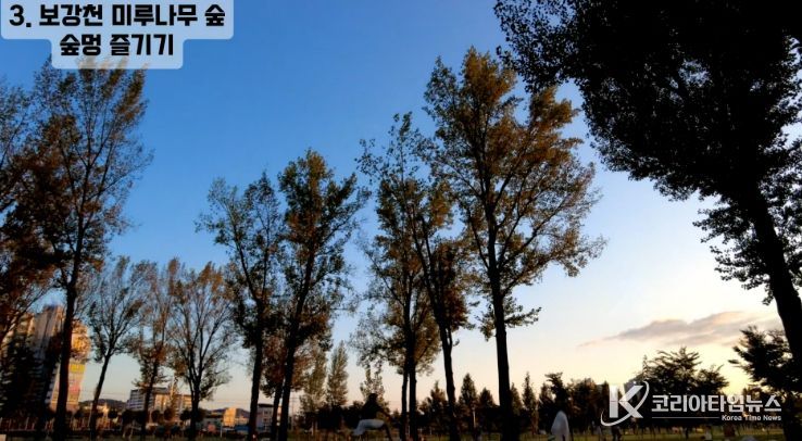 대상 수상작 ‘마음이 머무는 곳, 증평’영상 스틸컷