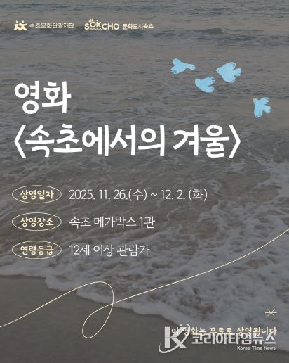 속초에서의 겨울 카드뉴스