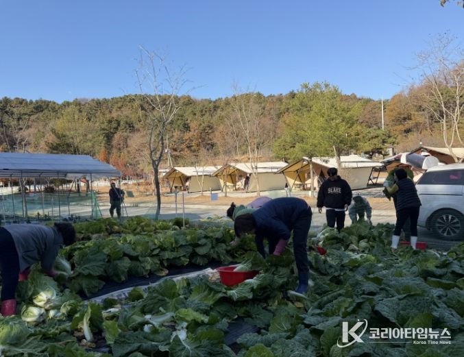 부여군시설관리공단, 사랑의 김장용 배추 기부