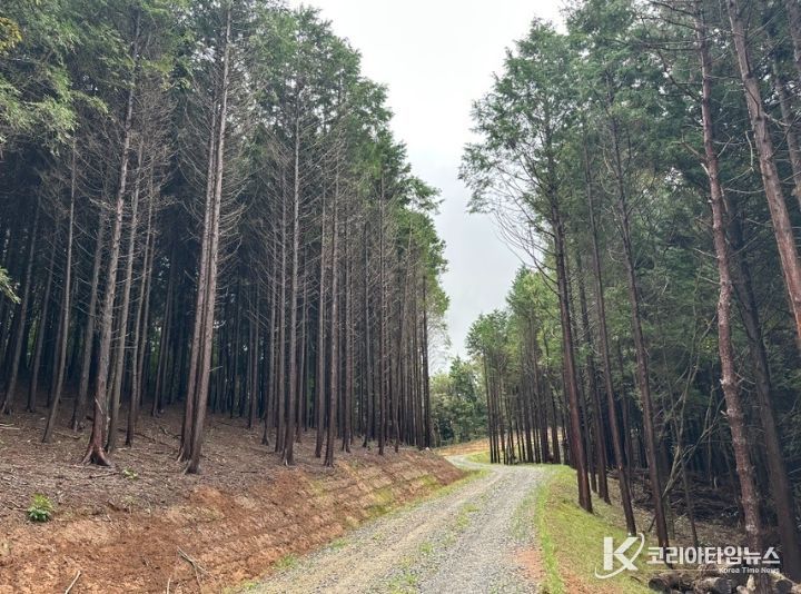 산림청 임도 우수사례 평가 ‘우수기관’ 선정