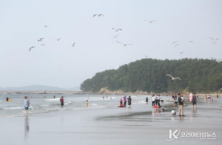 서천군 춘장대해수욕장, ‘올해의 우수해수욕장’ 선정