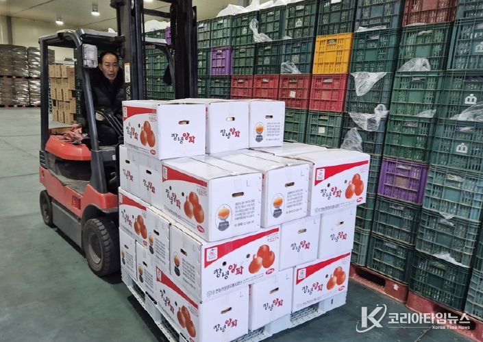 창녕 양파를 차량에 옮기는 모습