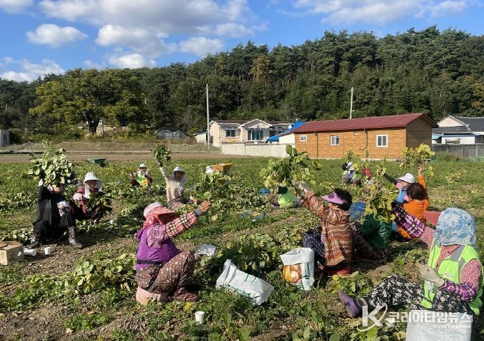 부안군, 2026년 노인일자리 확대 추진