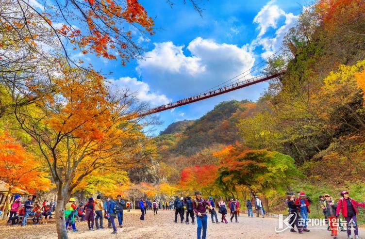 순창군 강천산군립공원, 가을 단풍철 16만 명 넘어서며 ‘대성황’