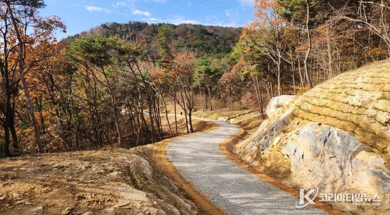 산청군 신안면 갈전리 간선임도