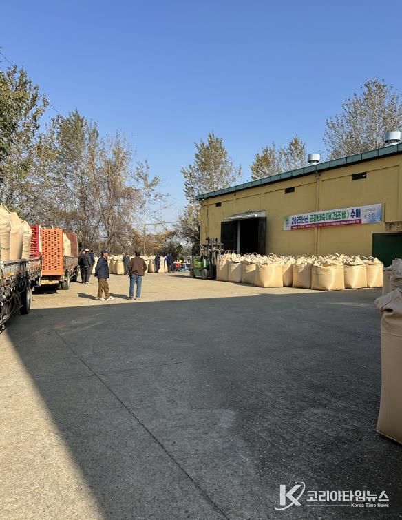 평택시, 2025년산 공공비축미곡 건조벼 매입 실시