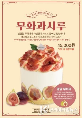 영암군 로코노미 성심당 무화과시루 홍보물