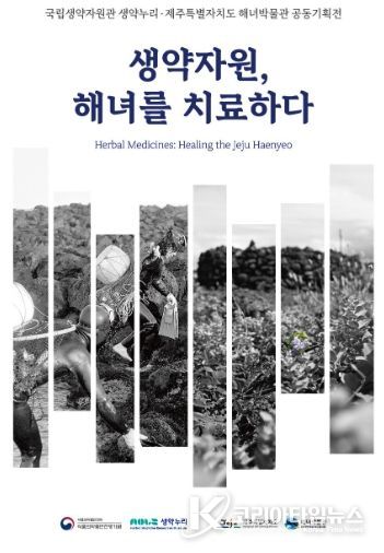 <생약자원, 해녀를 치료하다> 전시 개막식