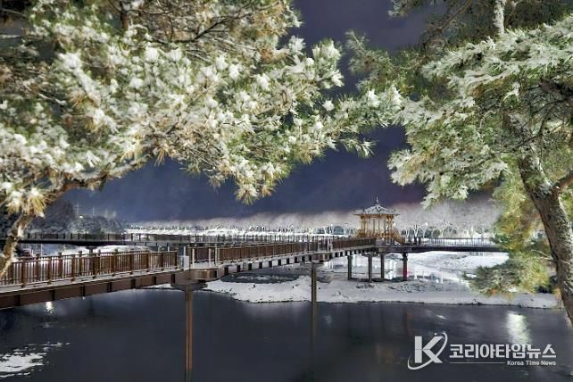 첫눈 내려 드러난 괴산 에코브릿지의 겨울 밤빛