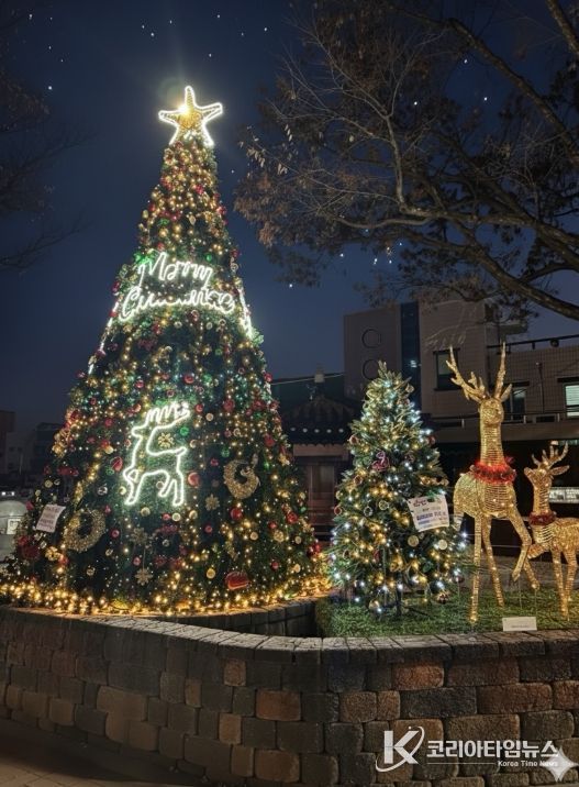 금산군 우체국사거리 연말연시 트리
