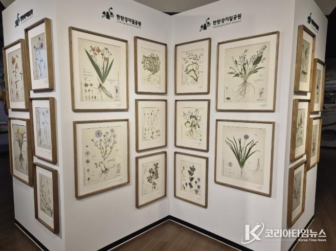 포천시, 한탄강의 아름다운 색채를 담은 압화 전시 개최