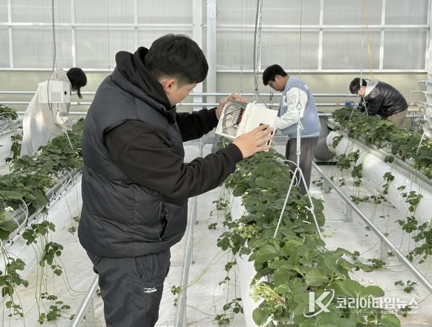 준공된 스마트팜 실습장에서 국립공주대학교 스마트팜공학과 학생들이 실습을 하는 모습