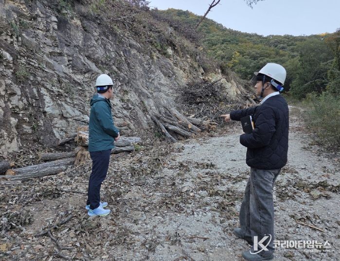 벌채지 점검 모습