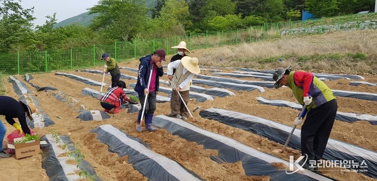 체류형농업창업지원센터 텃밭에서 교육생들이 실습하는 모습