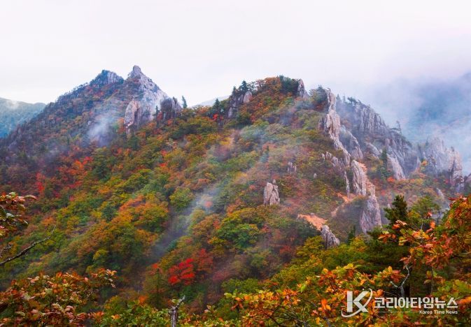 금상 어승완 공룡능선의비경(경기 군포)