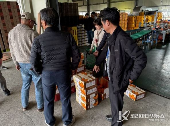 야간·주말 기습 단속