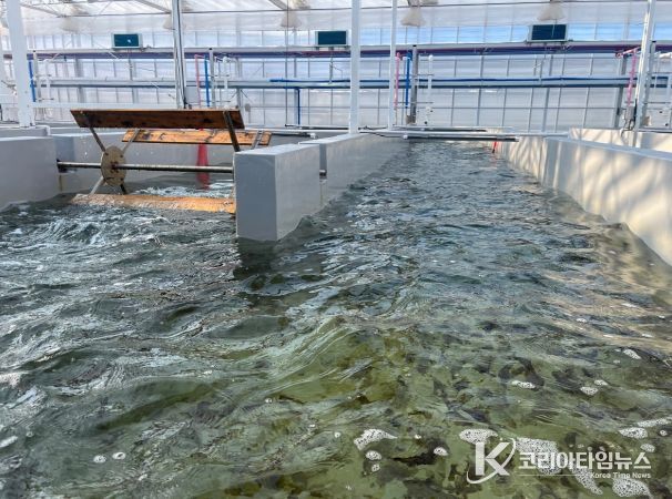육상 김 양식(수로형 트랙 수조)
