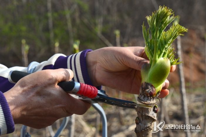 2025년도 임업·산림 공익직접지불금 지급
