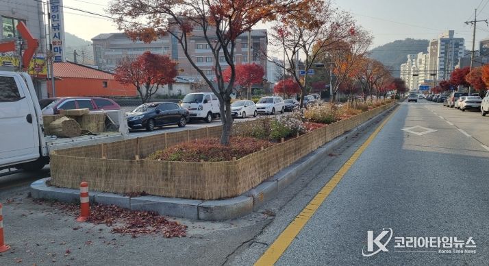 정읍시, 겨울철 가로수 지킴이 ‘방풍막’ 설치 완료