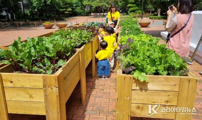 김해시 도심 속 텃밭 조성 지원