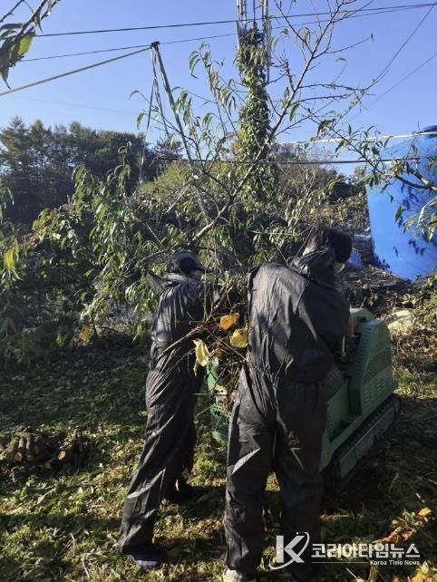 음성군, 영농부산물 안전처리 지원사업 사업자 모집