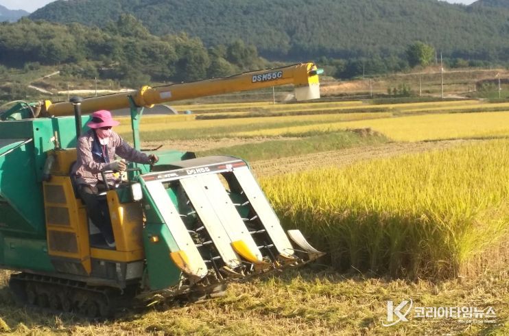 순창군, 친환경 벼 유통 물류비 지원.