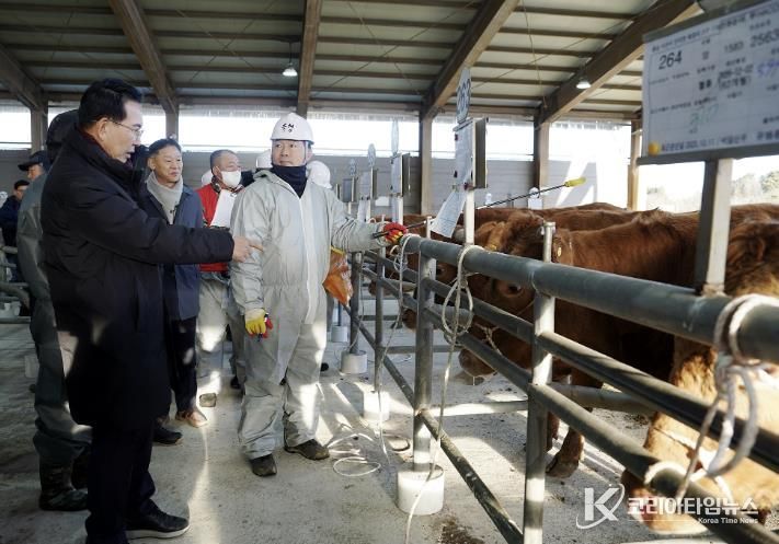 8일 음암면 상홍리 가축경매시장 모습