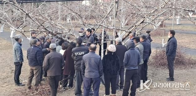 충주농기센터, 복숭아 정지전정 현장교육 실시