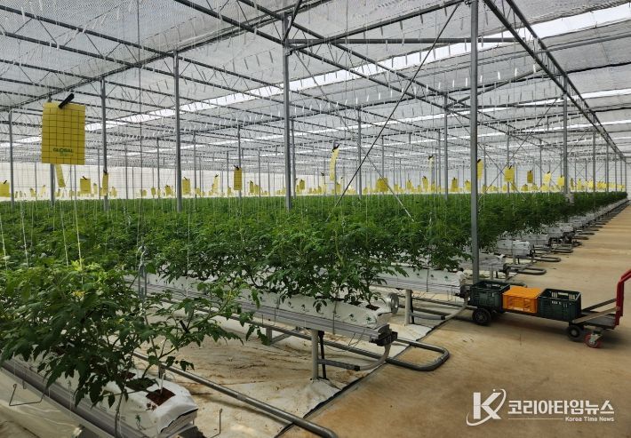 강화군, 올해 농업기술보급에 64억 투입… 첨단농업 전환 속도