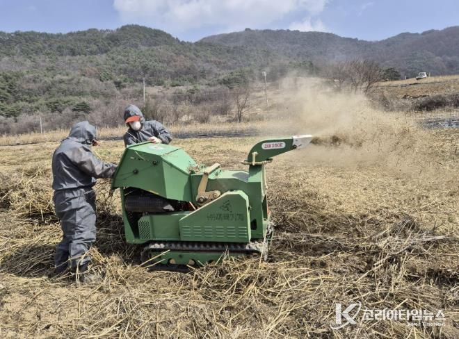 지난해 영농부산물 처리 모습