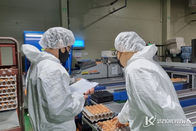 식용란 선별 포장업 점검