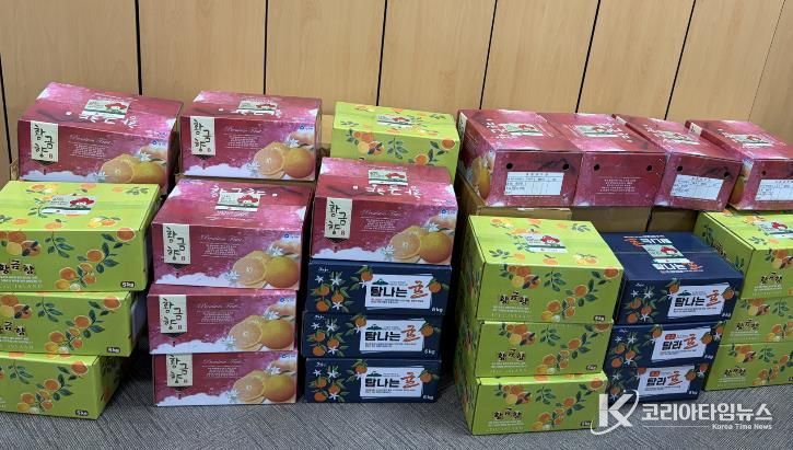 세종시 한솔동에 고향 사랑 담긴 제주도 귤이 도착했어요