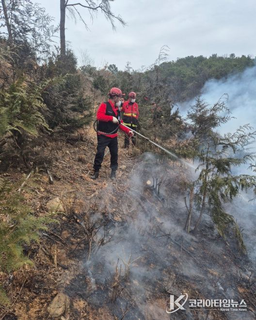 산불 진화 및 인화물질 제거 활동