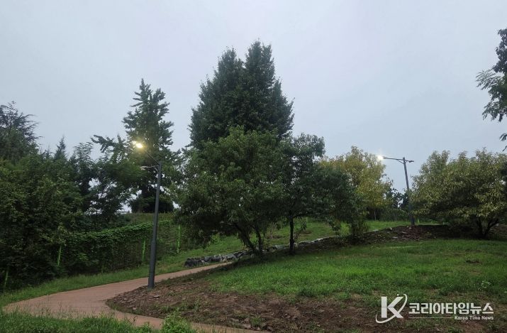 대구 동구, 신암공원 북편 진입로 공원등 설치