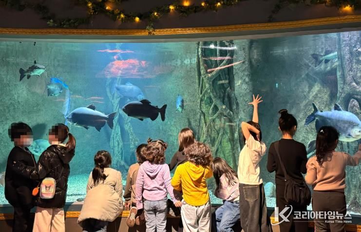 11일 대전엑스포아쿠아리움에서 진행된 드림스타트 아동 대상 ‘겨울방학 문화 프로그램’